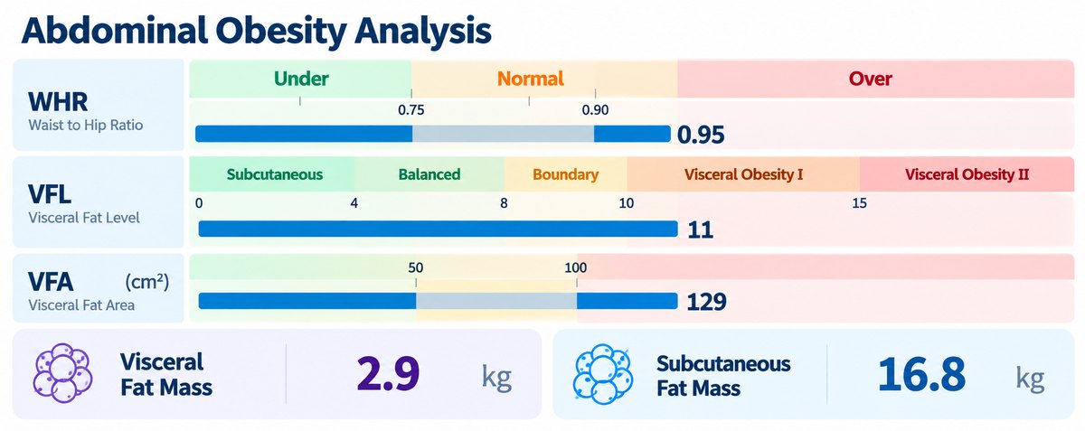Analýza brušnej obezity – útrobný a podkožný tuk